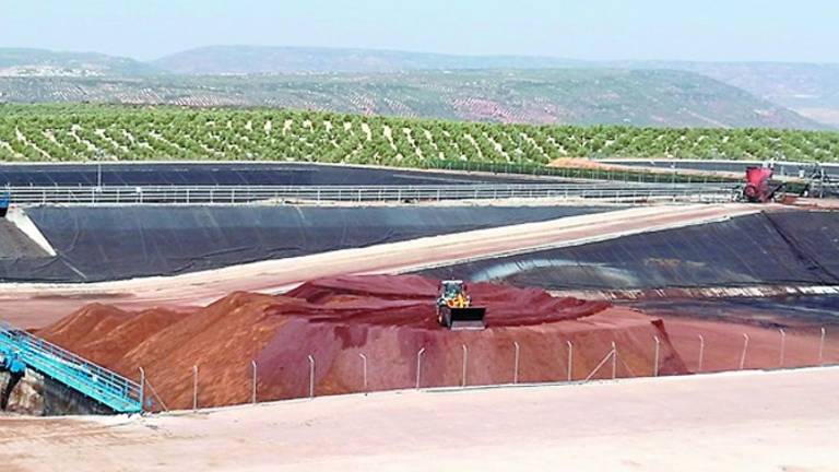 Un estudio avala el aceite de oliva de orujo para las frituras.