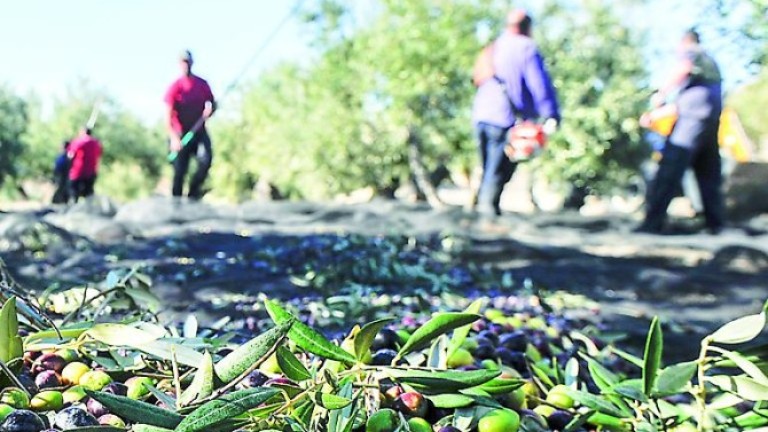 Denuncian la “tasa plana” impuesta a los agricultores de Los Villares