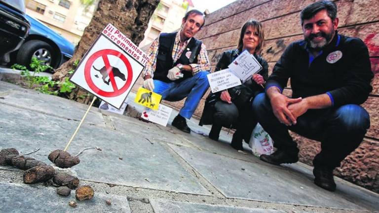 Multa para los “marranos” que no quiten la caca de perro