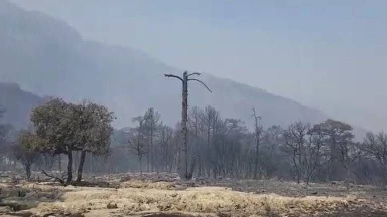 Mancha Real ofertará a los colegios visitar Segura para concienciar sobre los efectos del fuego