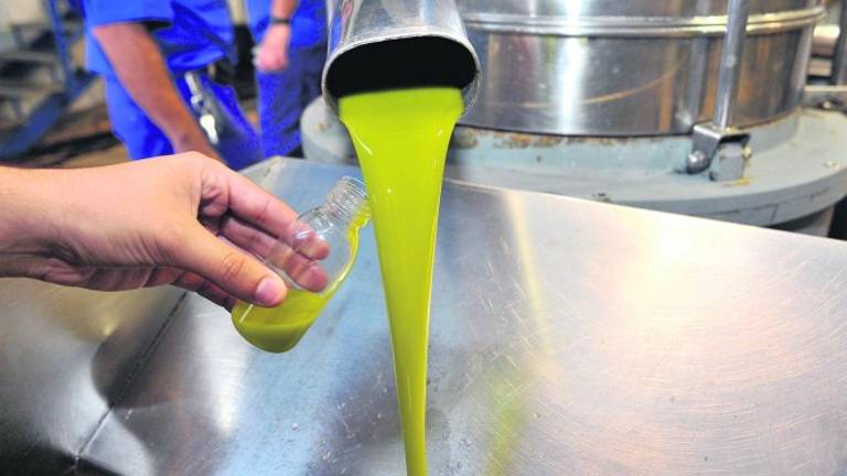 Jaén solo logra 321.197 toneladas de aceite