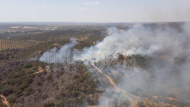 Extinguido el incendio forestal en el paraje Alto del Rincón de Marmolejo