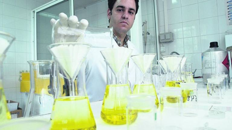 La Universidad de Jaén, entre las 75 mejores del mundo