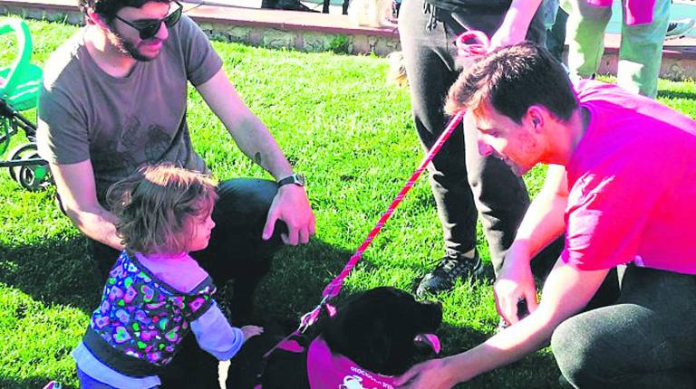 <span style=text-transform:uppercase>SENSIBILIZACIÓN.</span><i> Un grupo de jiennenses con un perro, en el parque del Bulevar, en una imagen de archivo.</i>