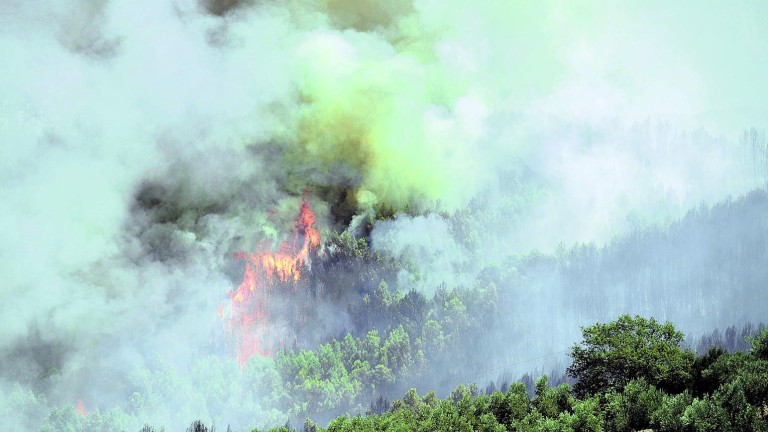 Un “incendio intencionado” devora el pinar del paraje del Portichuelo