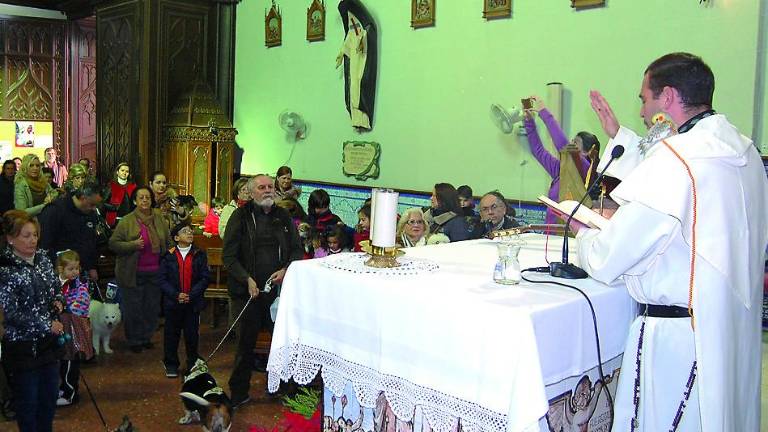 Mascotas bendecidas con el cariño de su protector San Antón