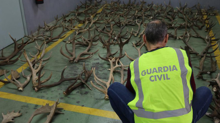 Cuatro detenidos por robar trofeos de caza en Andújar