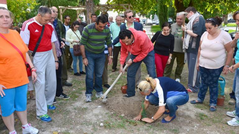 Las mens enfermas del siglo XXI