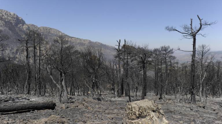 Miedo y rabia en segura