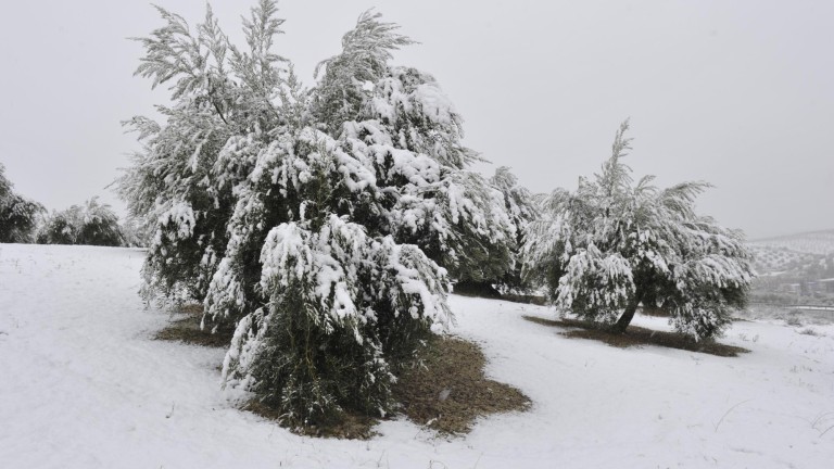 Aviso por nevadas esta noche en Cazorla y Segura