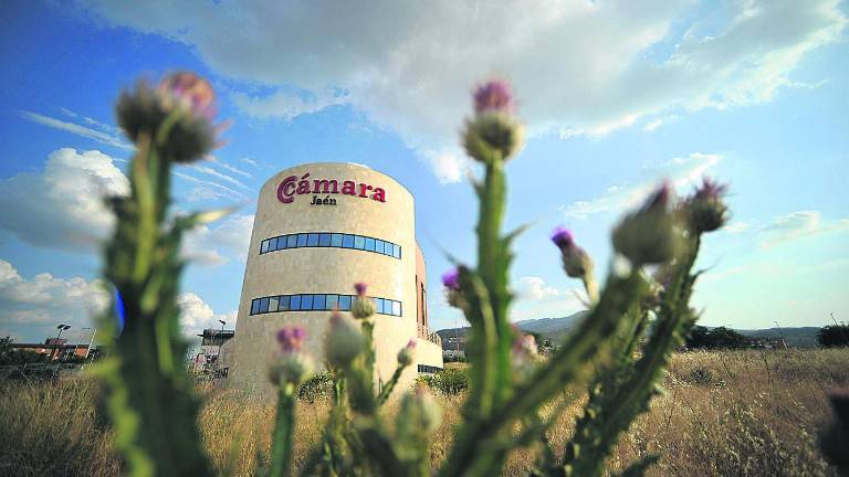 Los empresarios “huyen” de las elecciones de la Cámara