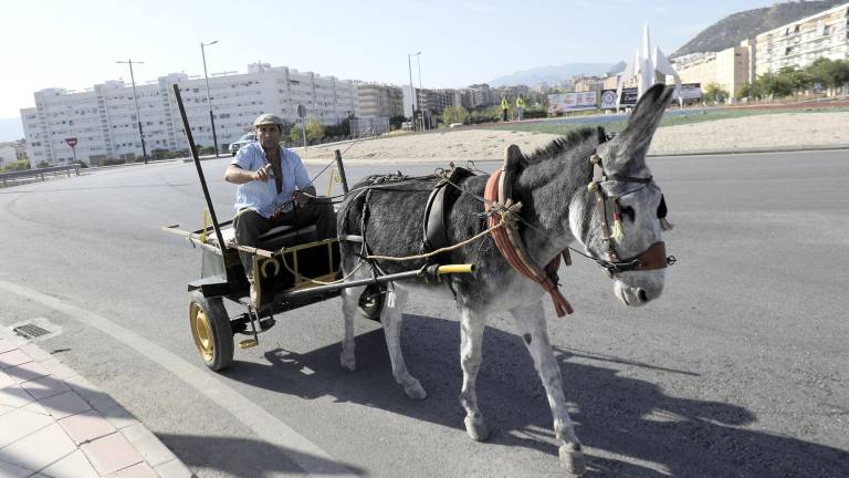 Carro tirado por un burro en la rotonda de la pajarita