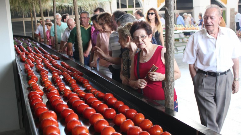 Mucha calidad en el concurso hortofrutícola de Marmolejo
