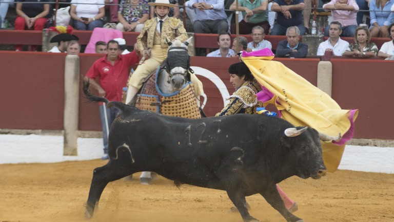 Alberto Lamelas va “a la guerra” con un encastado toro de Murteira