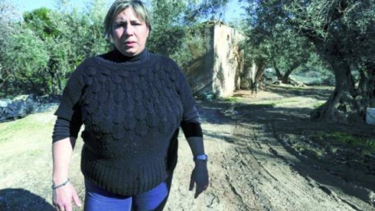 Esta finca es nuestro sustento y lo hemos perdido todo