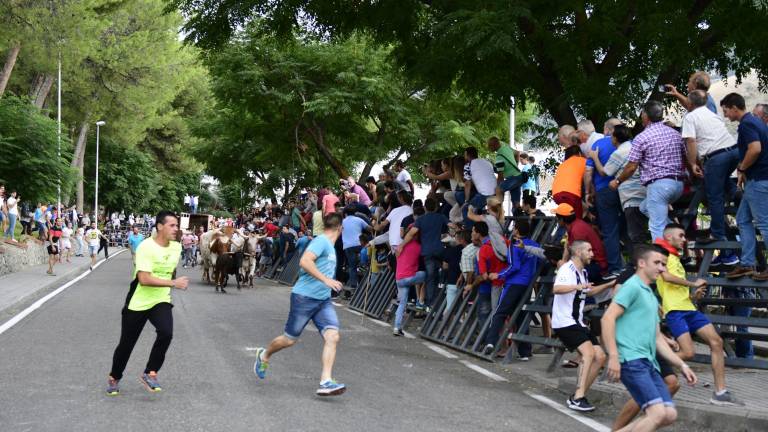 Las reses dan personalidad a la concurrida celebración