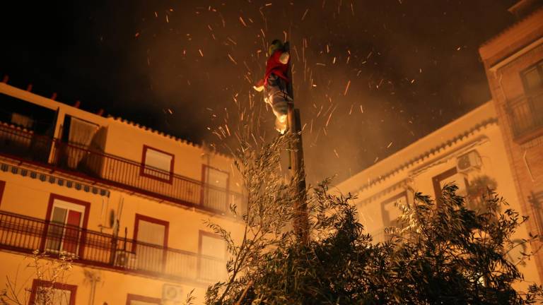 Las imágenes que dejó San Antón