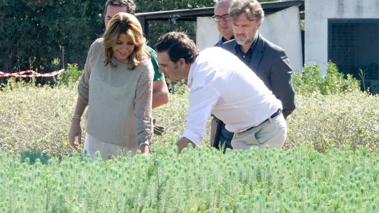Díaz cita, para el lunes, a los líderes por la financiación
