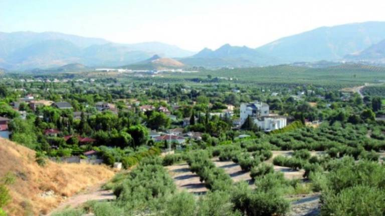 Urbanismo quiere unificar criterios en casas con órdenes de derribo