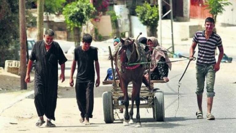 Más de diez mil palestinos huyen por la amenaza israelí