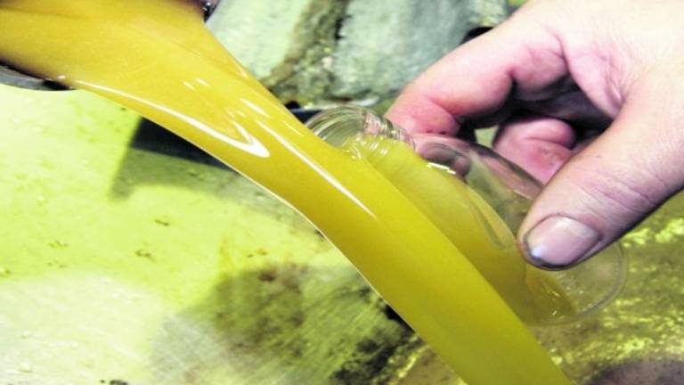 Despegue del precio del aceite, con el virgen extra por encima de tres euros