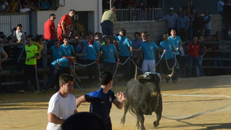 “Trabajamos durante todo el año para que las fiestas de San Marcos sean cada vez mejor y se mantenga viva la tradición ”