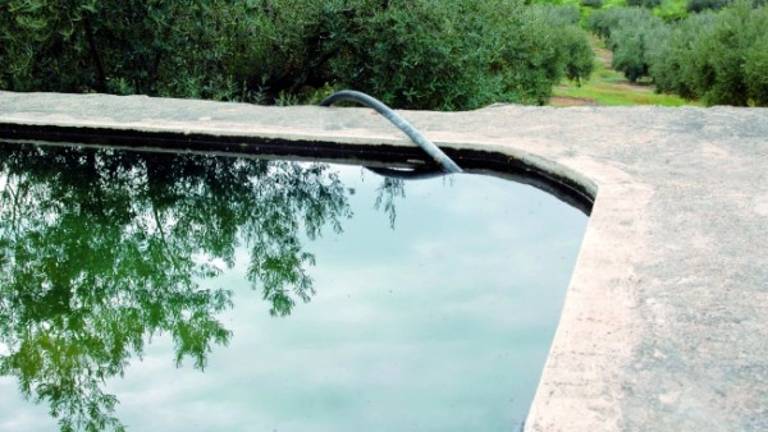 Los olivareros tendrán un riego extra para engordar la aceituna