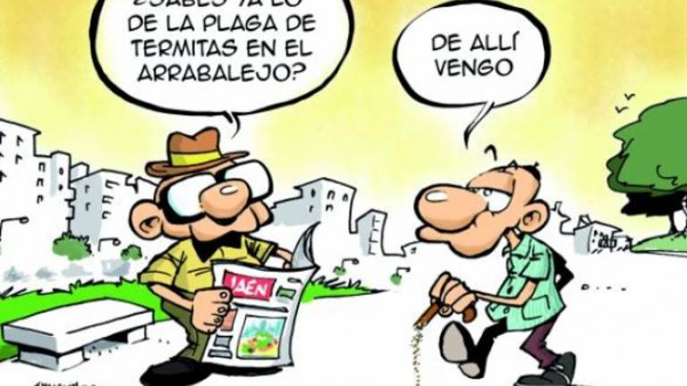 El callejón de la mona