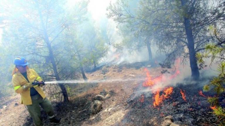 Especial IFQuesada | Emergencia de nivel 1