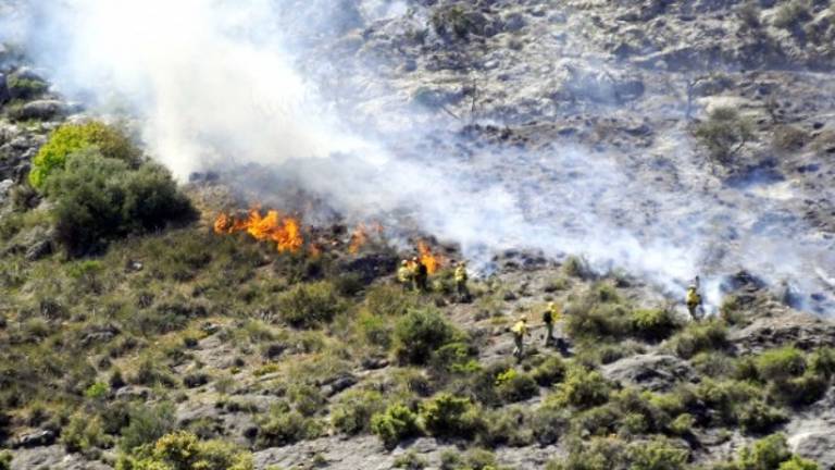 Un incendio calcina una zona de monte próxima a la autovía A-44