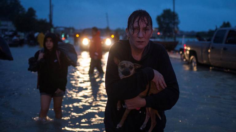 Los estragos de Harvey en imágenes
