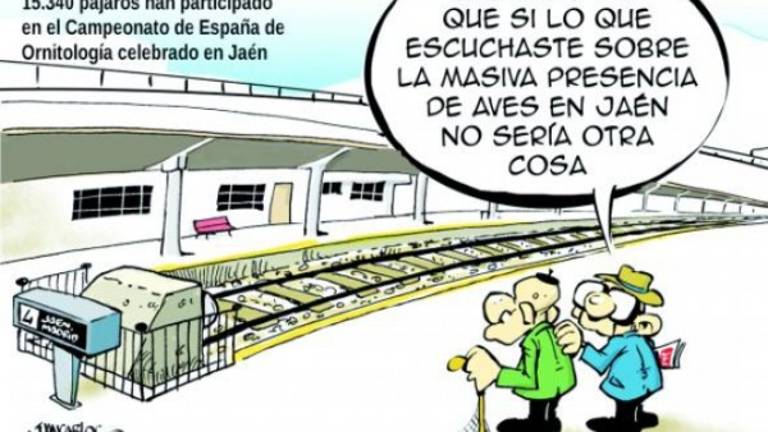 El callejón de la mona