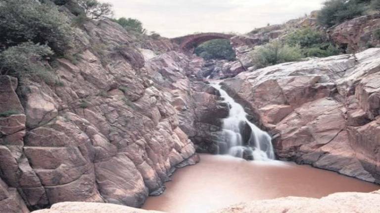 Apuesta por la protección de la biodiversidad natural