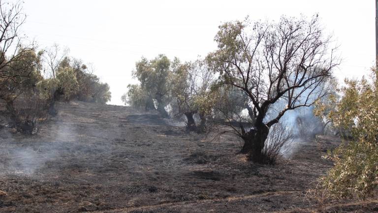 Dos conatos de incendio en Guarromán y Villanueva