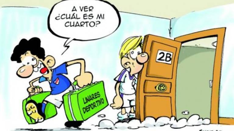 El callejón de la mona