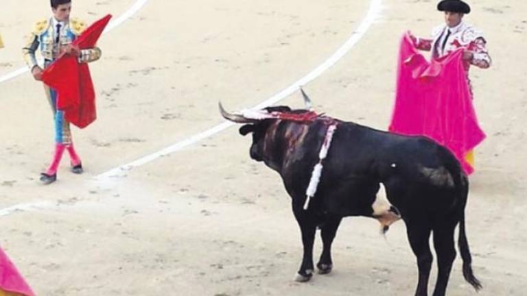Grave cogida de Venegas en el coso madrileño Las Ventas