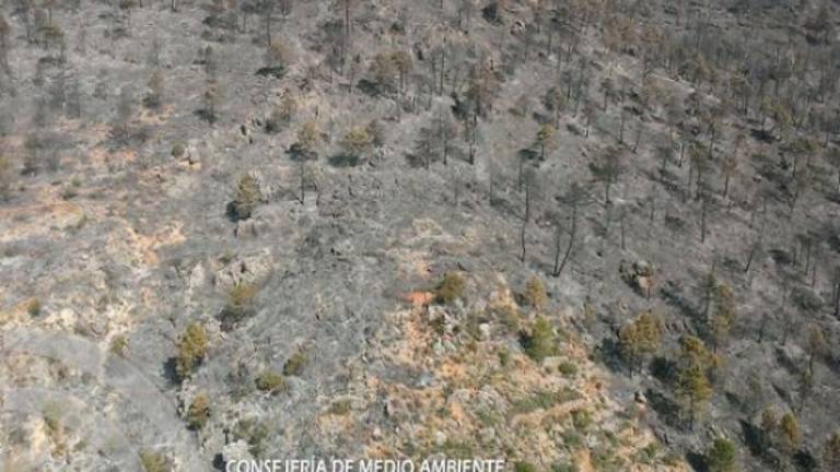 El incendio de La Puerta de Segura evoluciona favorablemente