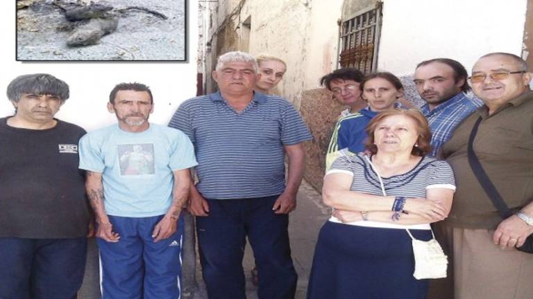Vecinos de La Merced alzan sus voces ante una plaga de ratas