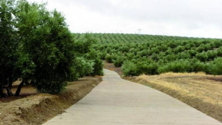 Medio Rural da prioridad al cuidado de caminos rurales