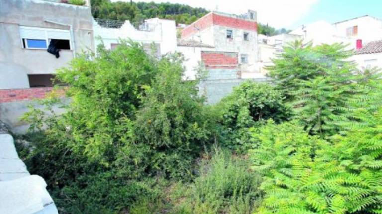 Vecinos exigen que se limpie el solar de las garrapatas