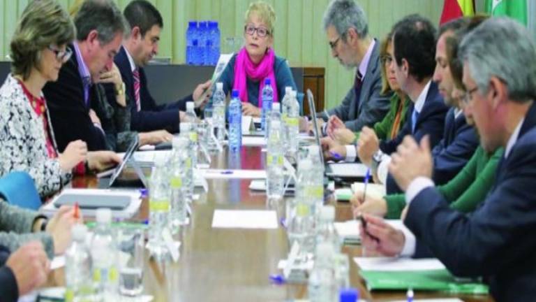 La bacteria asesina acecha el olivar