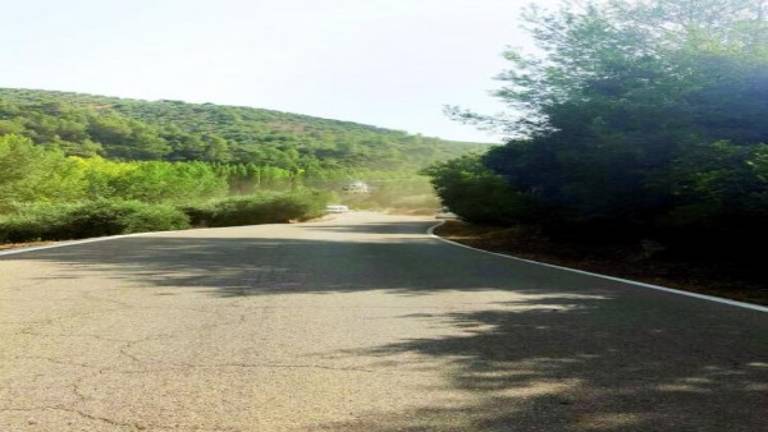 Un villanovense muere por la caída de un chopo que cortaba