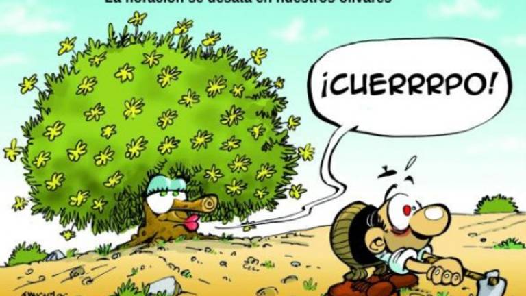 El callejón de la mona