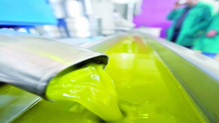 El aceite más elegante está listo para seducir al mercado y ganar precio