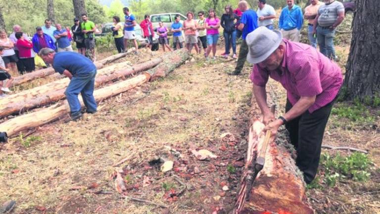 Los hacheros segureños, un oficio muy arraigado en Siles
