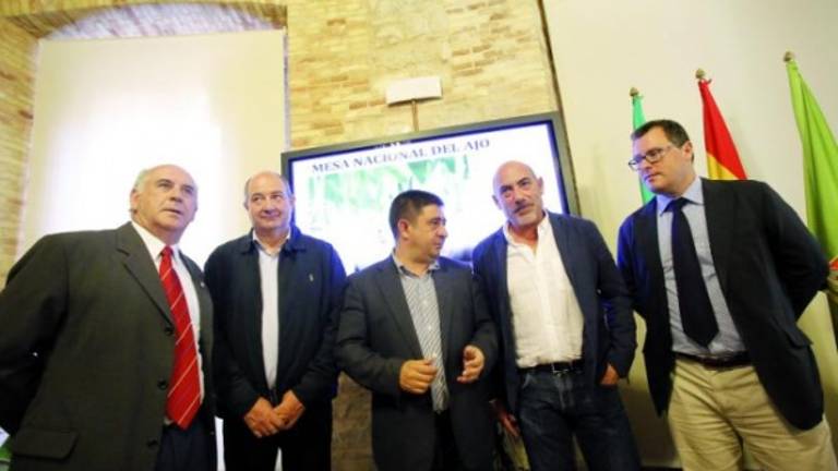 Cien mil jornales gracias al ajo