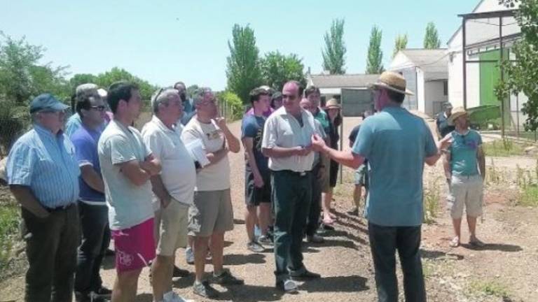 Comienzan las plantaciones de pistacho en la comarca