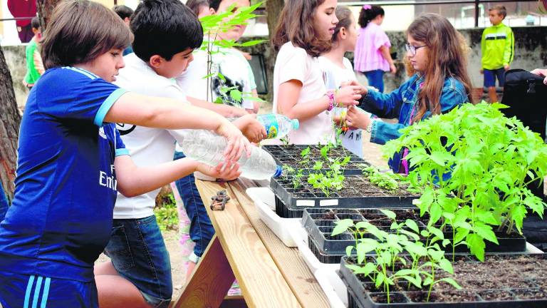 Una forma divertida de aprender