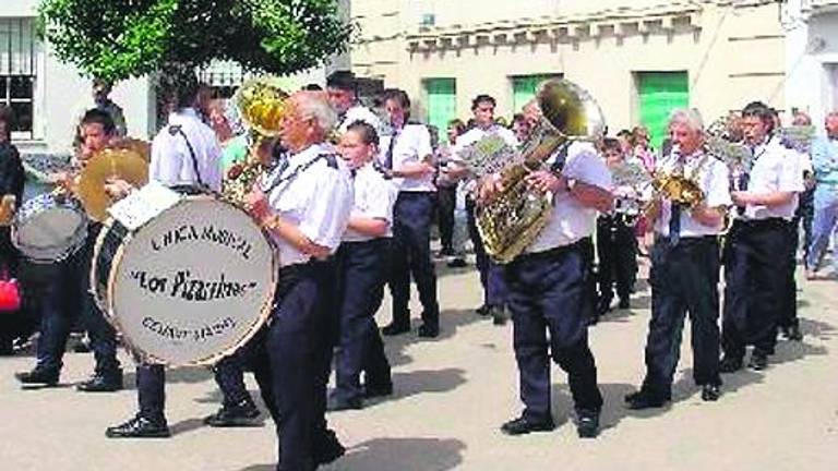Cuna del olivar ecológico