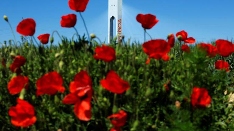Rescate para Abengoa